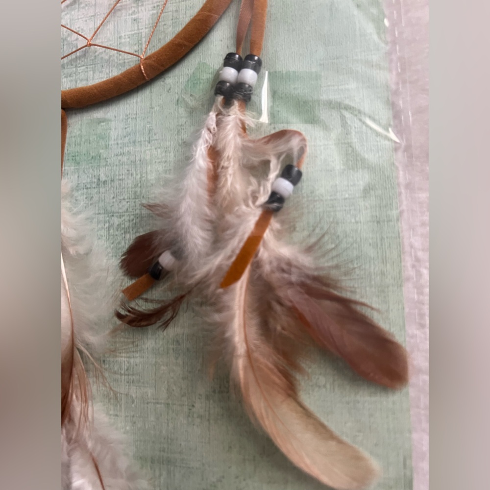 Brown and White Dreamcatcher Wall Decor - Picture 8 of 10